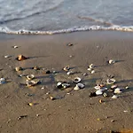Seafront View In Bibione-beahost شقة *